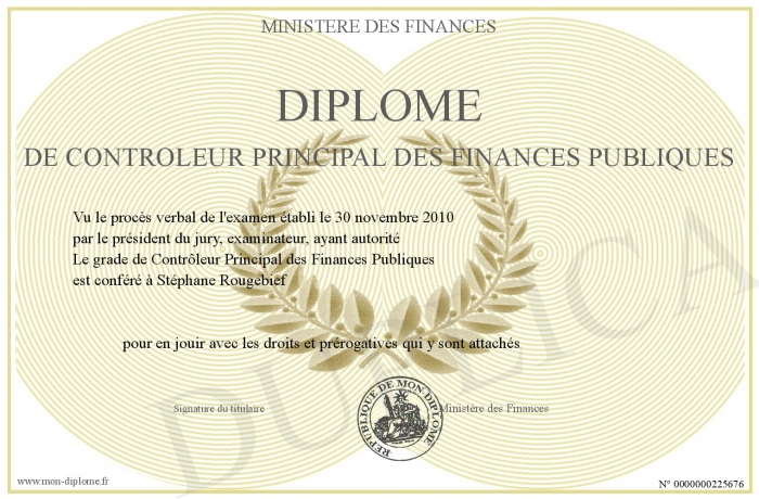 diplome universitaire finances publiques